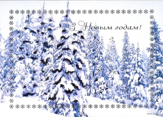 ДМПК Беларусь 2004 С Новым годом