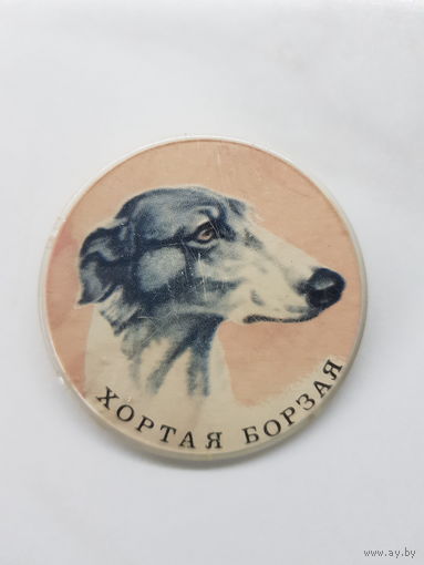 Хортая борзая