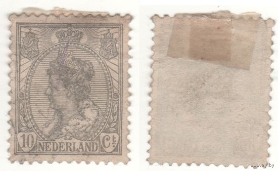 Нидерланды (Mi) NL 56 10 цент 1899-1935 год Queen Wilhelmina - (1880-1962) (2) (m35)