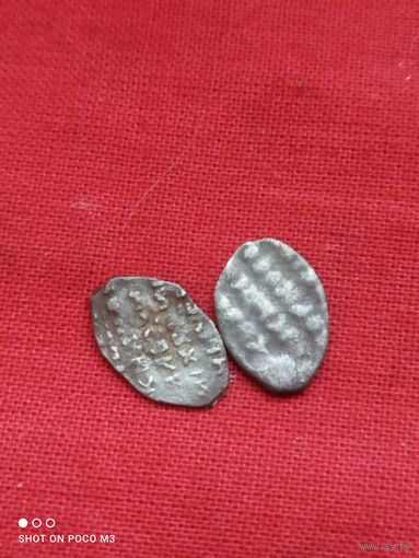 Две чешуйки, серебро