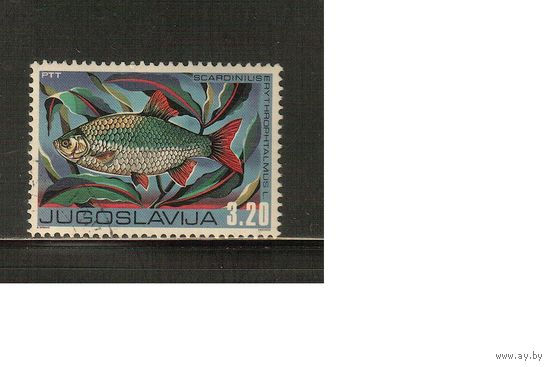 Югославия-1976(Мих.1642) , **  ,  Фауна, Рыбы