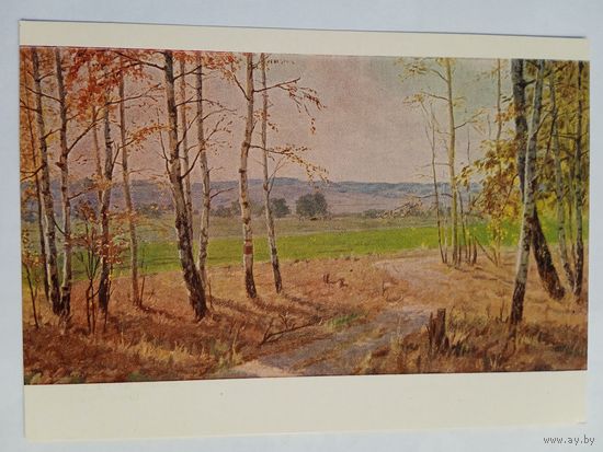 1956. Рычагов. Опушка леса