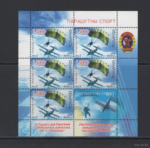 Спорт Беларусь 2009 Малый лист "Парашютный спорт"