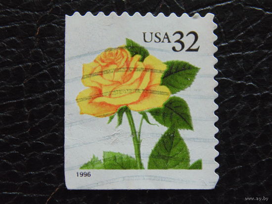 США 1996 г.