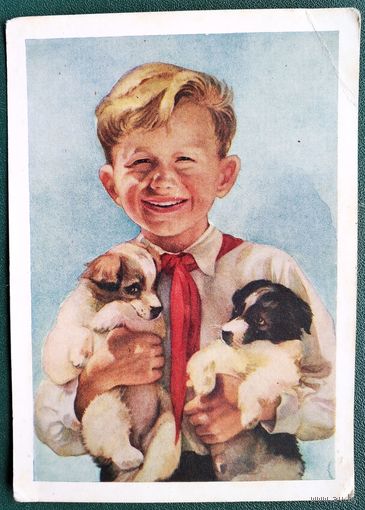 Стрелкова Э. Пионер со щенками. 1954 г. Подписана.