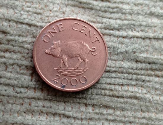Werty71 Бермудские острова Бермуды 1 цент 2000 Кабан