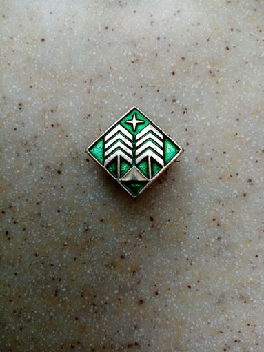 Значок Лес-туризм