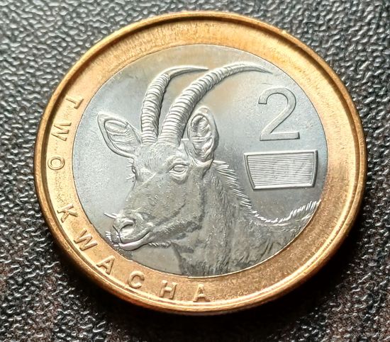 Замбия 2 квачи, 2024    ( 1-10-3 )