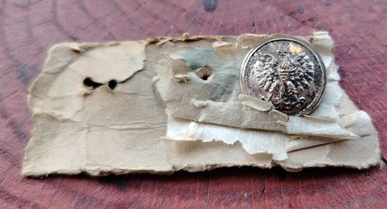 Пуговица Польша