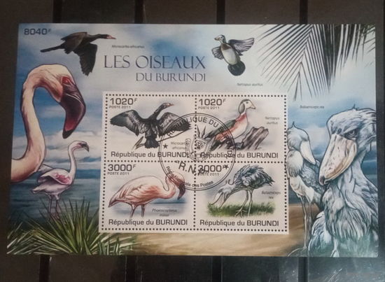 ЛИСТ ФАУНА ПТИЦЫ  СТО