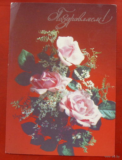 Поздравляем! Чистая. 1991 года. Дергилева. 1210.