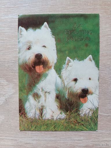 Календарик 1993