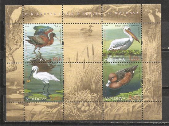 ФФ3 Молдова 2011 Птицы