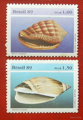 Бразилия. Раковины. ( 2 марки ) 1989 года. 8-2.