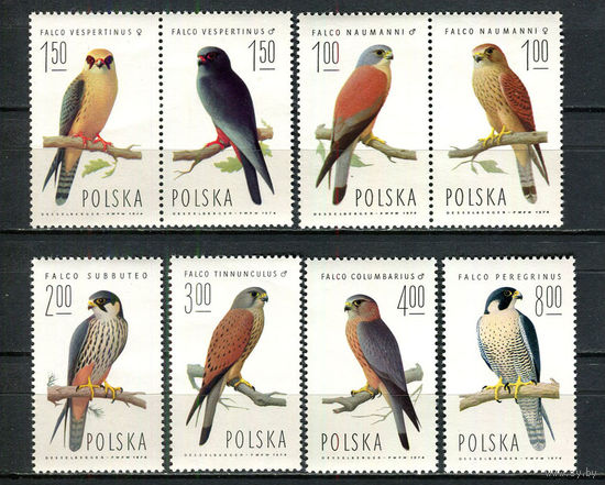 Польша - 1975 - Птицы - (незнач. пятна на клее у ном. 1,50) - [Mi. 2354-2361] - полная серия - 8 марок. MNH.  (Лот 48JF)-TG2P17
