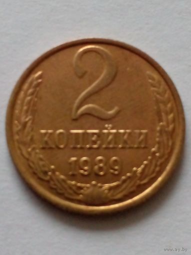 СССР 2 копейки 1989 г.АU (2)