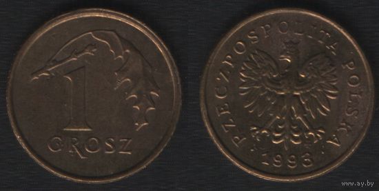 Польша y276 1 грош 1993 год (mw) (_alb2