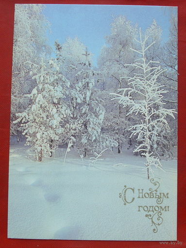 С новым годом! Чистая. 1990 года. Буркина. 1269.