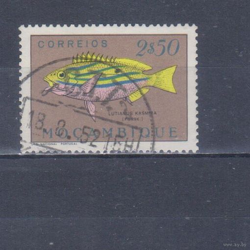 [2219] Португальский Мозамбик 1951. Фауна.Рыба.2,5 э. Гашеная марка.