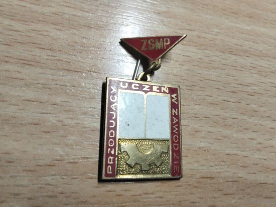 ZSMP Союз социалистической польской молодежи