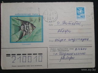 1982 Скалярия прошло почту