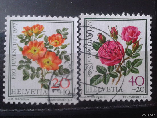 Швейцария 1977 Розы
