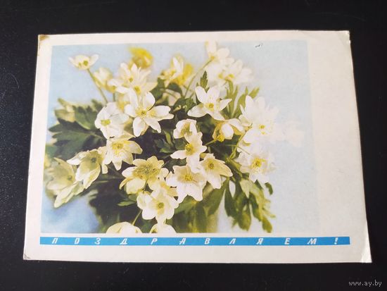 И. Дергилев