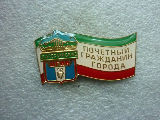 Знак нагрудный. Город Дагестанские Огни. Почетный гражданин. Герб. Латунь смола заколка.