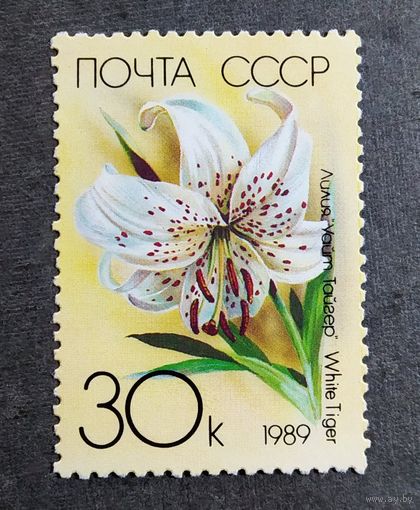 Марка СССР 1989 год Лилии