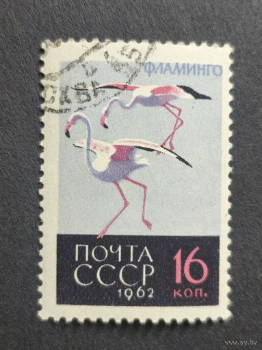 1962 СССР. Птицы