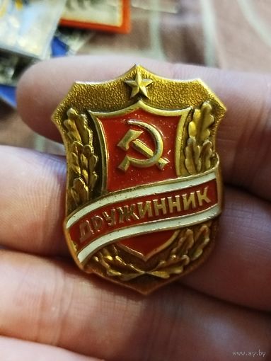 Дружинник