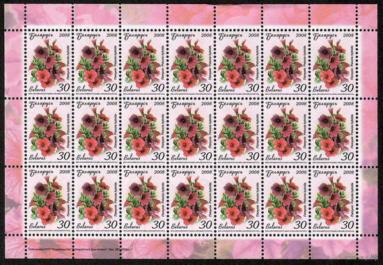 Беларусь. 2008. Стандарт.  Петуния (30р) (з.267-2008) Лист