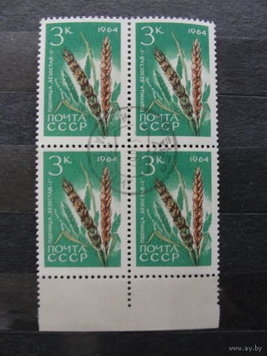 Продажа коллекции с 1 рубля! Гашеные почтовые марки СССР в квартблоках.