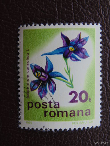 Румыния 1975 г. Цветы.
