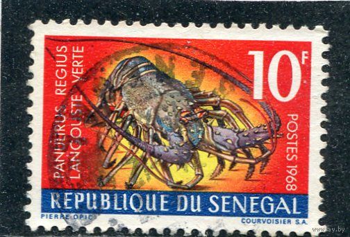 Сенегал. Морская фауна. Лангуст
