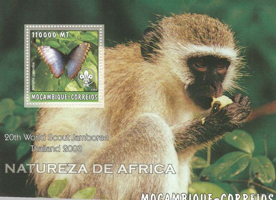 Мозамбик,,Фауна,,2002г