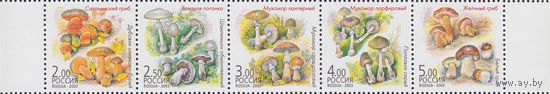 Россия, 2003, Mi#1108-12, флора: грибы-двойники, MNH сцепка