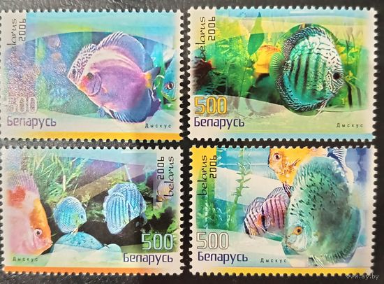 Беларусь 2006. Рыбы. Полная серия