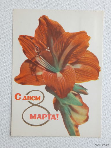 Удин 8 марта 1965  открытка БССР  10х15 см