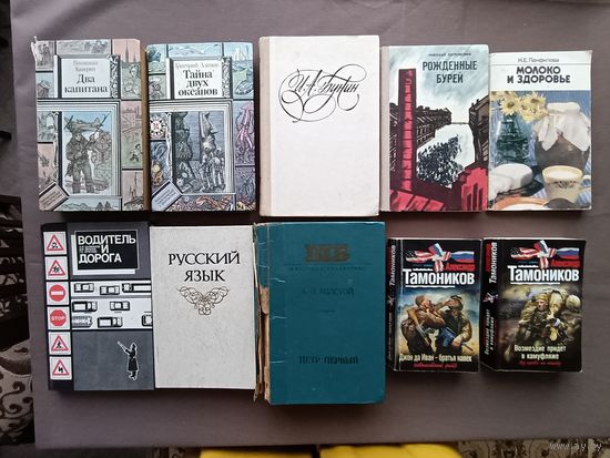 10 книг в разном состоянии для дачной библиотеки одним лотом за 6 рублей! (3558)