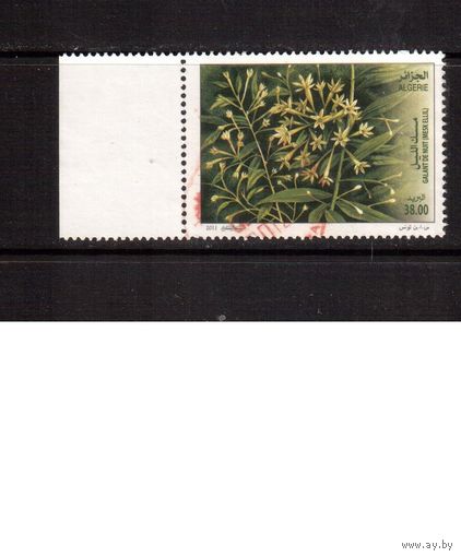 Алжир-2011,(Мих. )  гаш. , Флора, Цветы