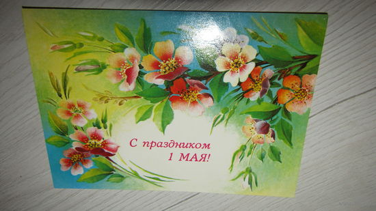 Открытка "С 1 мая"