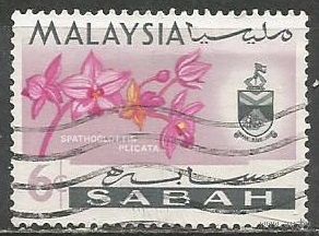 Малайские штаты(Сабах). Орхидея спатоглотия. 1965г. Mi#20.