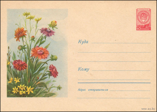 Художественный маркированный конверт СССР N 901 (29.01.1959) Рисунок цветов