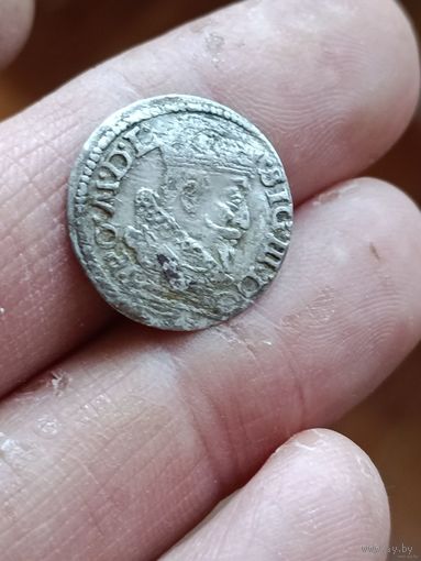 ГРОШ 1625 ГОДА В ЩИТЕ