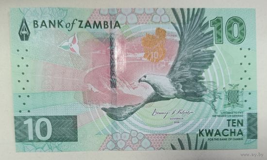 10 квача 2024 (2025) - Замбия - UNC