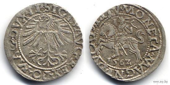 Полугрош 1562, Жигимонт Август, Вильно. Ав: окончание легенды - LI, Рв: хвост Погони вверх, окончание легенды - LITV