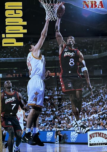 Постер Scottie Pippen 80x57см