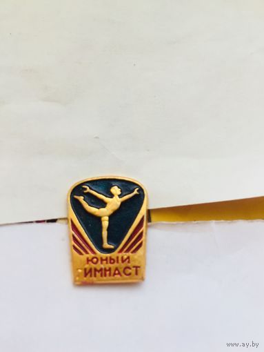 Юный гимнаст