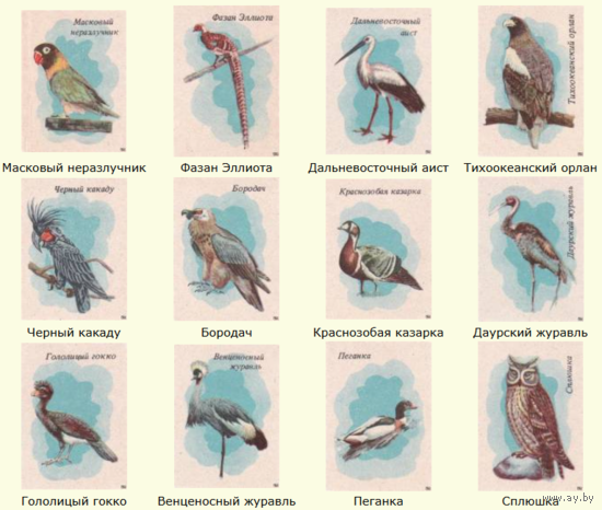 Спичечные этикетки. Сувенирный набор. Московский зоопарк.1983 год